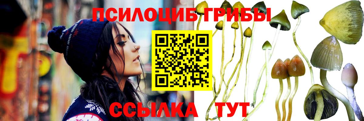 Псилоцибиновые грибы прущие грибы Костомукша